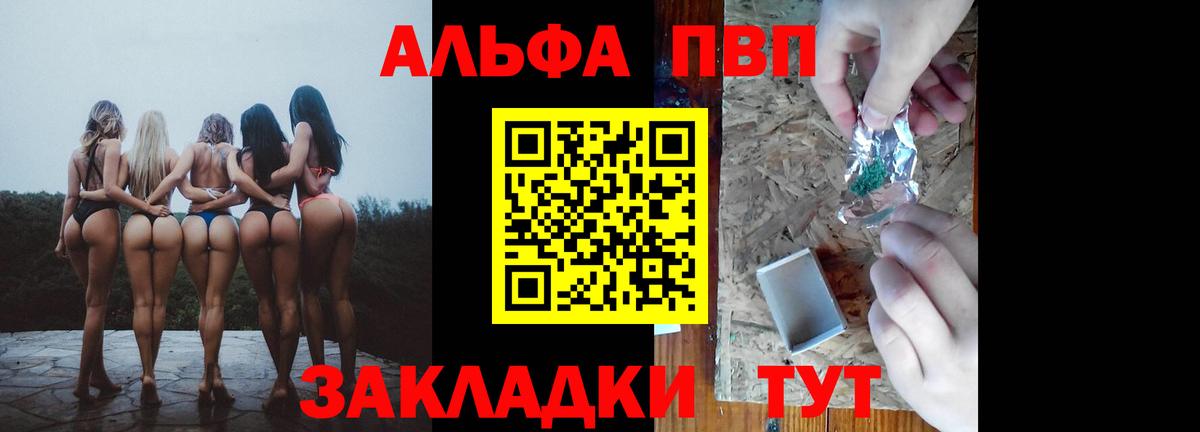 A PVP СК КРИС Саранск