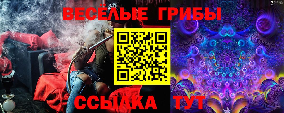 Саранск  Псилоцибиновые грибы MAGIC MUSHROOMS  Вход с VPN 